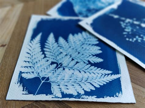 Cyanotype Printing On Behance