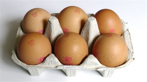 Eggs In A Tray Free Stock Photo - Public Domain Pictures