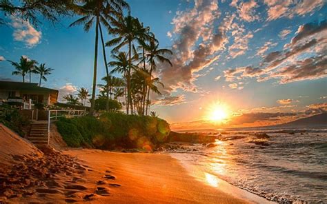 Fondo De Pantalla De Hawaii Cielo Naturaleza Apuntalar Rbol Palmera