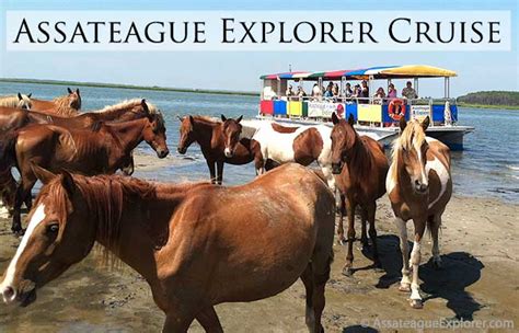 Assateague Island National Seashore Visitor Services