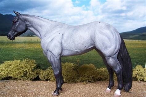 Blue roan Quarter Horse by ymagier on DeviantArt