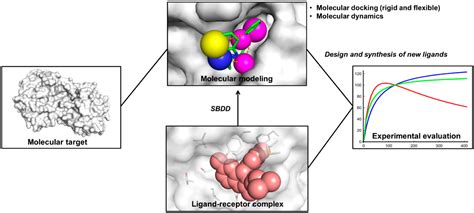 Molecules Free Full Text Molecular Docking And Structure Based Drug