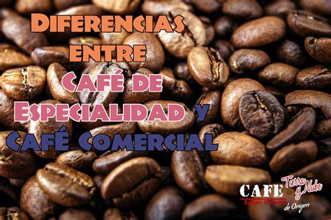 Principales Diferencias Entre Caf De Especialidad Y Caf Comercial