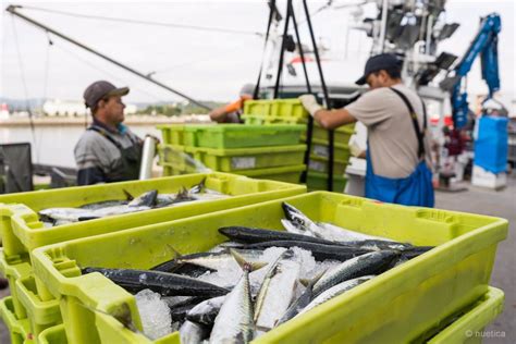 Pesca Cantabria Destina Millones En Ayudas A Inversiones De