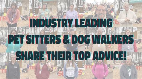 Best Advice For Pet Sitters And Dog Walkers 15 Experienced Pet Pros