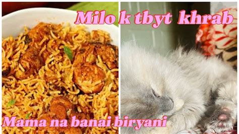 Milo K Tbyt Kharab Mama Na Banai Biryani Ramadan Daily Vlog Youtube