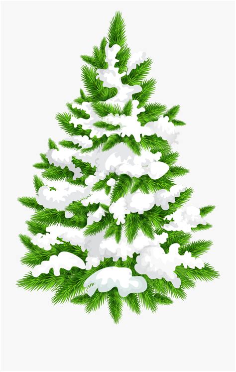 snowy christmas tree clipart 10 free Cliparts | Download images on ...