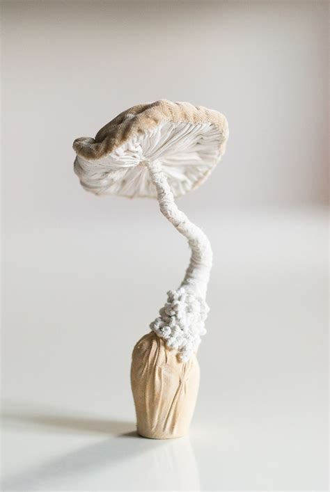 My Mushrooms Sculptures Textielart On Behance Stuffed Mushrooms