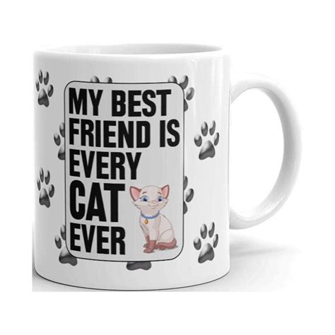 My Best Friend Is Every Cat Ever Coffee Tea Ceramic Mug Office Work Cup T