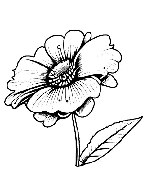 Desenhos Para Pintar E Colorir Flor E Folha Para Colorir