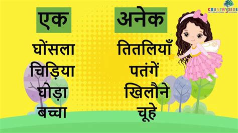 Grade 3 Hindi Grammar Vachan YouTube