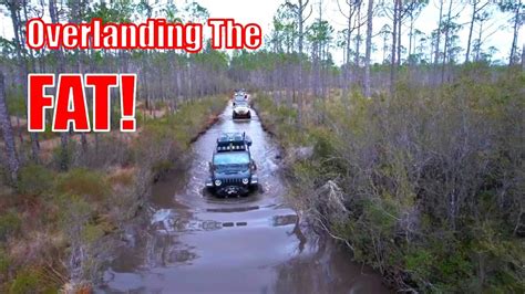 Overlanding The Florida Adventure Trail Part 2 Tates Hell WMA