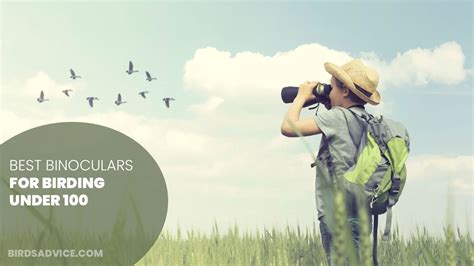 Best Binoculars For Birding Under Birds Advice