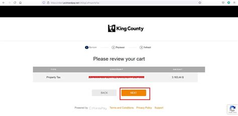Property Tax King 2025
