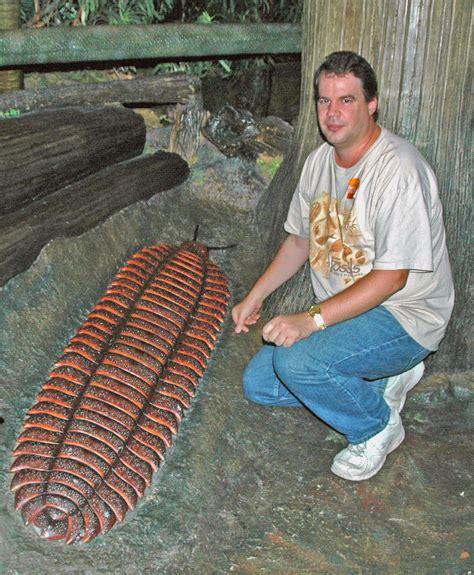 Is Oxygen The Reason Insects Were So Big Way Back When Ask An