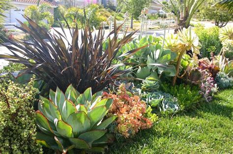 20 Ideas para decorar un lindo jardín con suculentas