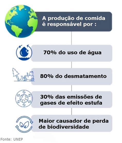 Novas Tecnologias Ajudam A Reduzir A Perda E O Desperdício De Alimentos