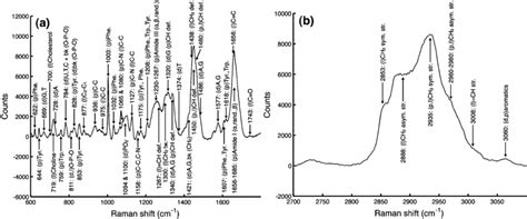 Raman Spectra Of A Single DU145 Cell For The A LWN And B HWN