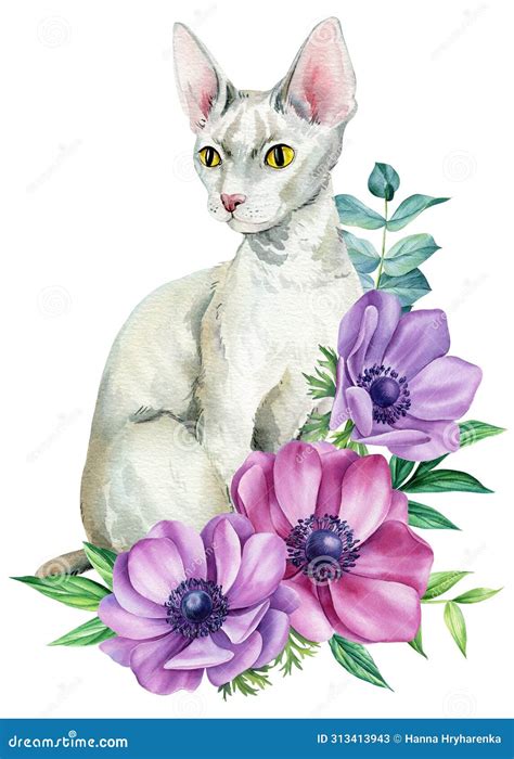 Cute Cat With Anemones Flowers Leaves On Isolated White Background