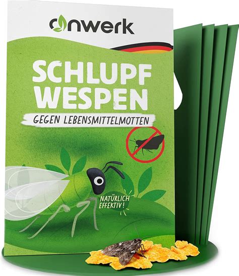 Anwerk Schlupfwespen Gegen Lebensmittelmotten Biologisch Lebensmittel