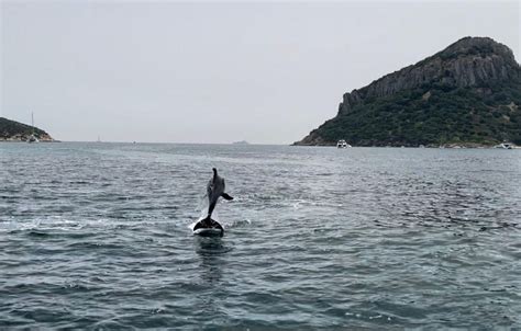 Olbia Exclusive Excursions In The Gulf Of Olbia Getyourguide