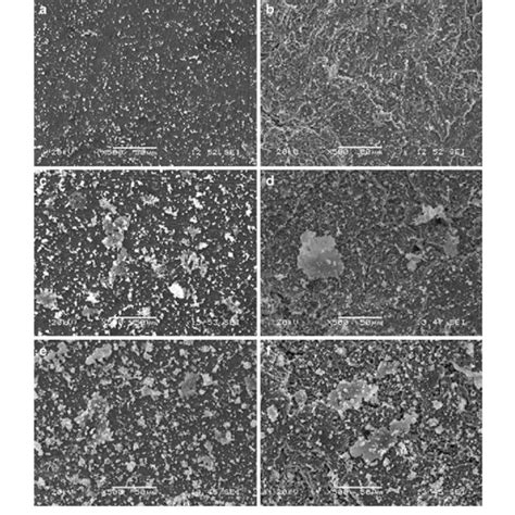 Surface Roughness And Contact Angle Of Different Titanium Samples