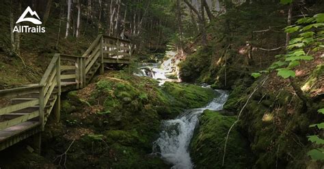 Best Trails In Fundy National Park New Brunswick Canada Alltrails