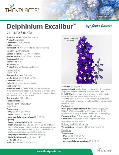 Delphinium — ThinkPlants