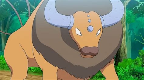 Pok Mon Carlate Violet Il Est Possible D Obtenir Un Tauros De Kanto