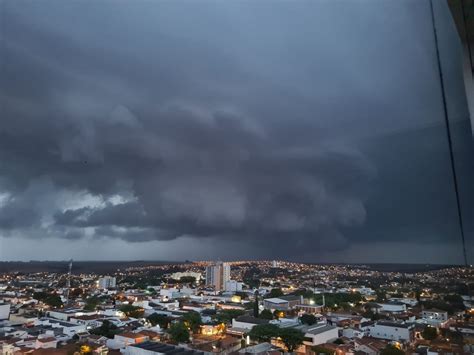 Tornado Arranca Mais De Rvores Destelha Casas E Deixa Rastro De