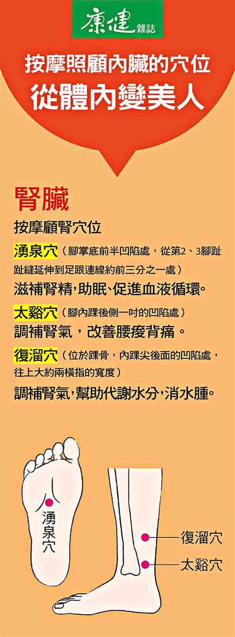 滋補腎精，按摩顧腎3穴位 康健雜誌【2024】 健康 健康になる 按摩