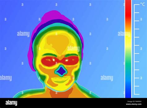 Thermal Imager Medical Scan Human Face Vector Illustration The Image