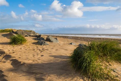 Rocks And Grass On Beach Stock Image Image Of Sand Sutton 79047071