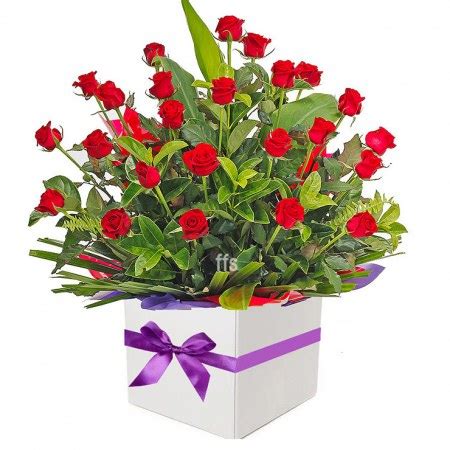 Sympathy Arrangements for Males