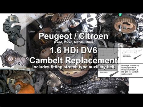 Sostituzione Della Cinghia Di Distribuzione Della Peugeot Peugeot