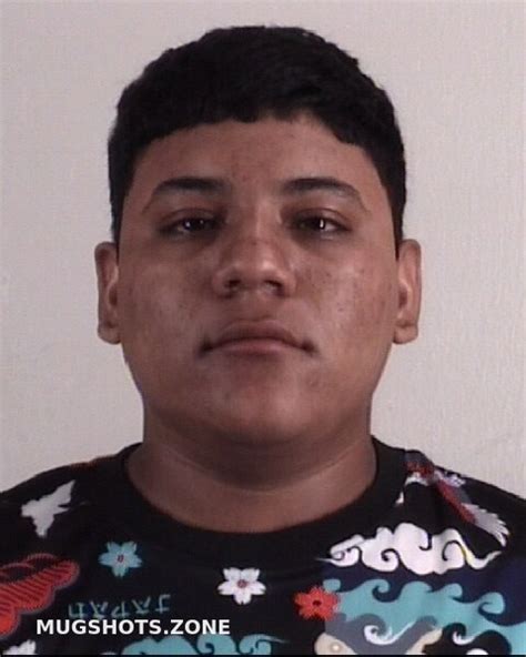 Llamassalaes Josue Tarrant County Mugshots Zone