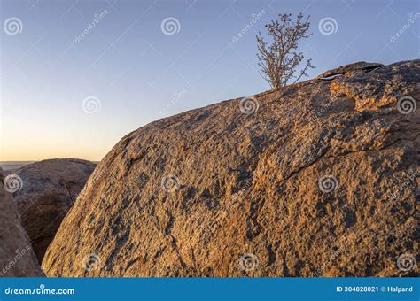 Sundown Light On Big Dolerite Boulder And Shrub In Desert Near Hobas