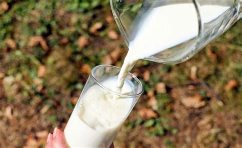 牛乳を大量消費できる簡単レシピ｜余った牛乳はもう無駄にしない！ Weboo ウィーブー 暮らしをつくる