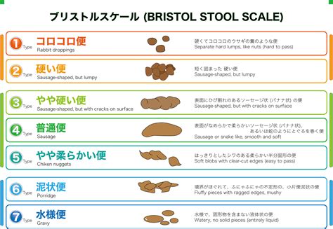 便（うんち）の色｜便の色・回数・量で体調確認｜大阪なんば内科・消化器内視鏡クリニック