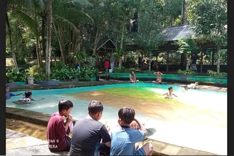 Wisata Kolam Pemandian Alami Dan Sejuk Di Jember Masih Jadi Favorit