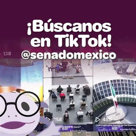 Senado de México on Twitter TikTok TikTok Aprovecha tu tiempo