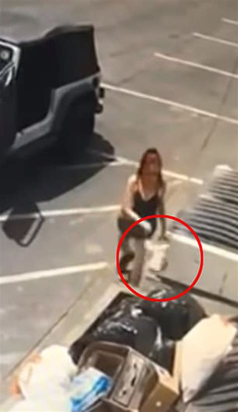 Video Una Mujer Arrojó A La Basura Una Bolsa Con Siete Cachorros En