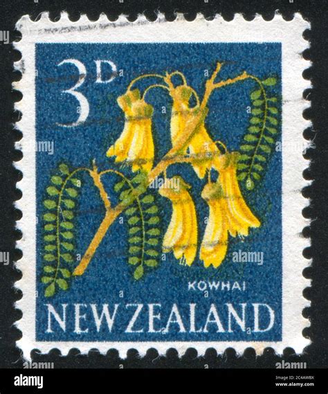 NEW ZEALAND CIRCA 1960 Stamp Printed By New Zealand Shows Kowhai