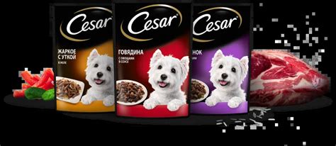 Все влажные корма для взрослых собак CESAR® — купить у партнеров