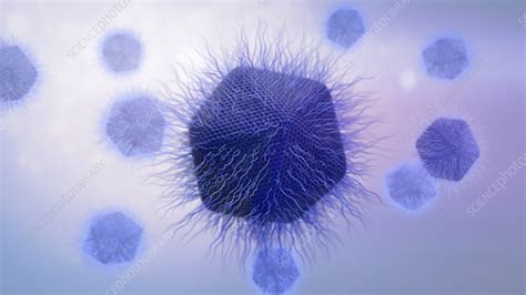 Giant Virus Structure Illustration Stock Image F042 5968 Science