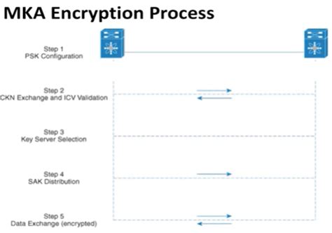 What Is Ieee Ae Macsec How Does It Work Zindagi Technologies