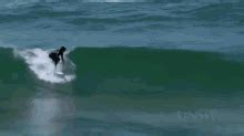 Surfin Bird GIFs | Tenor