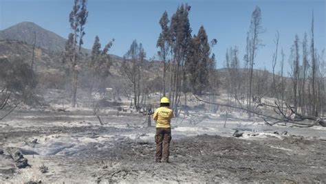 Cancelan La Alerta Roja En Hijuelas Tras Controlar El Incendio Forestal En El Sector Hualcapo