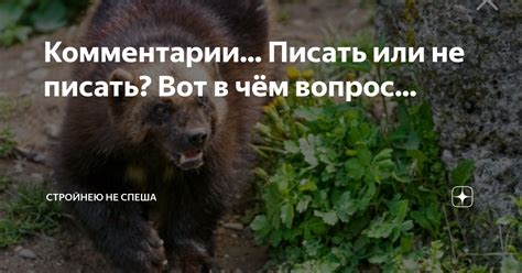 Комментарии... Писать или не писать? Вот в чём вопрос... | Стройнею не ...