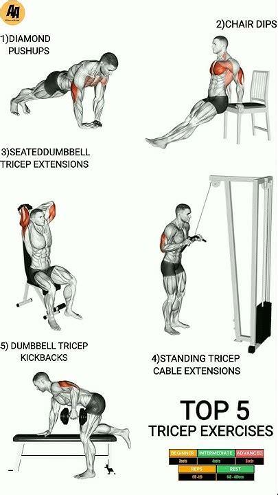 Tricep Exercises For Great Gains Top 5 Exercises For A Strong Tricep